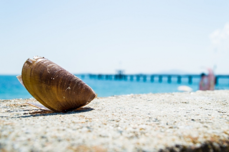How to choose a hotel in Golden sands?